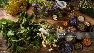 广州桑拿按摩新手入门：体验指南与热门场所推荐 缩略图