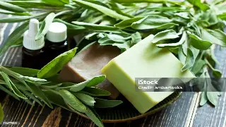 广州桑拿按摩心得：深度体验后的身心焕活之旅与<a href='/category/4/show/116.html' target='_blank'>缓解疲劳</a>秘籍 图片