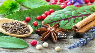 广州桑拿按摩会所地区导航：解锁羊城各区养生热点与<a href='/category/5/show/109.html' target='_blank'>疲惫释放</a>新去处