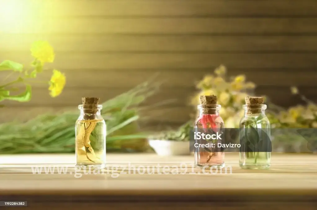 广州按摩养生入门